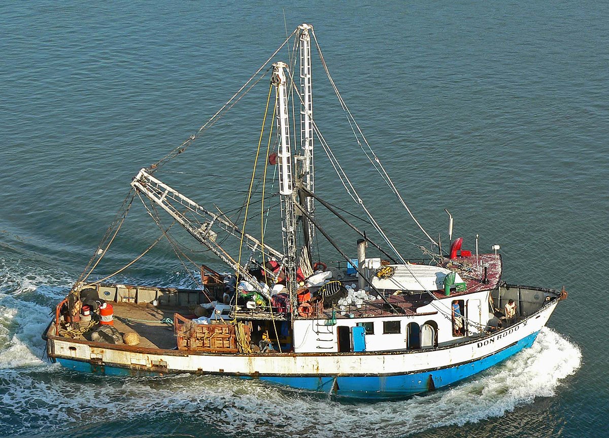 Channel Sea Food